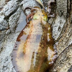 大雨に耐えて！