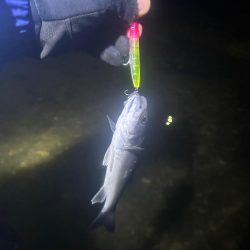 未開拓のウェーディングポイント