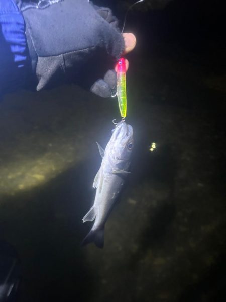 未開拓のウェーディングポイント