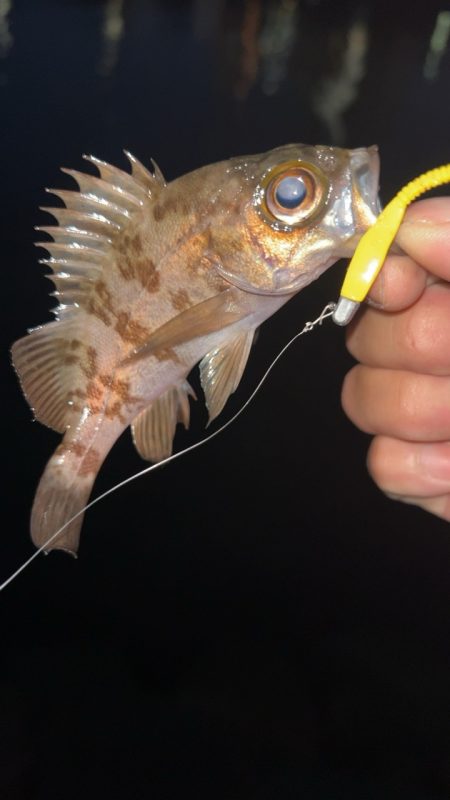 初めての場所で