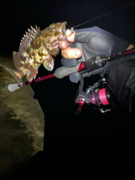 短時間、深夜ライトゲーム