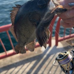 デイメバリング♪