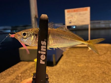 新年アジング初め!