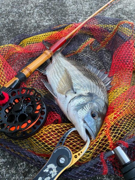 ヘチってきました