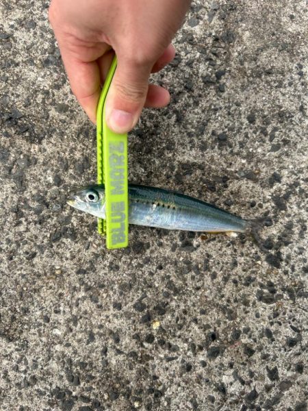 デイアジング！？