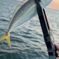 もう終わりかな?