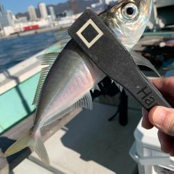 初めてのバチコンアジング