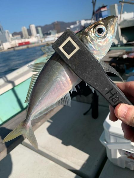 初めてのバチコンアジング