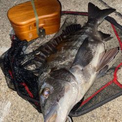 ヘチってきました