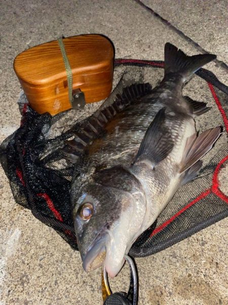 ヘチってきました