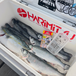 サーモン/ルアー・脈釣り