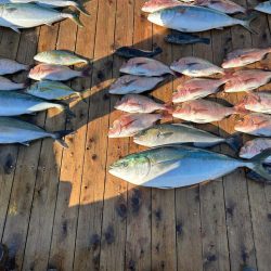 海上釣り堀 辨屋