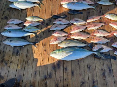 海上釣り堀 辨屋