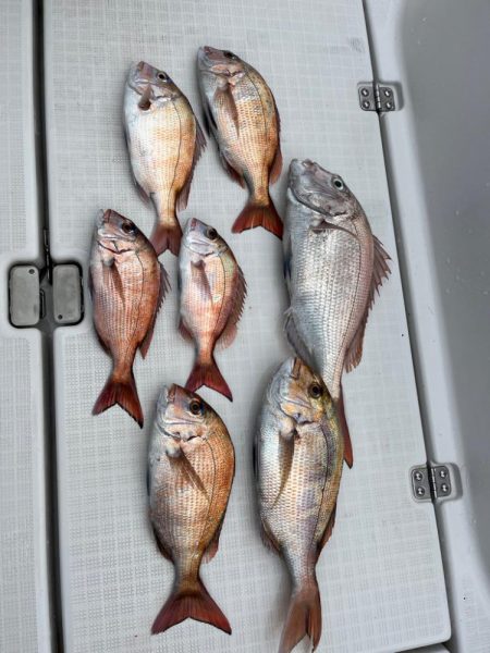 明石タイラバ！！