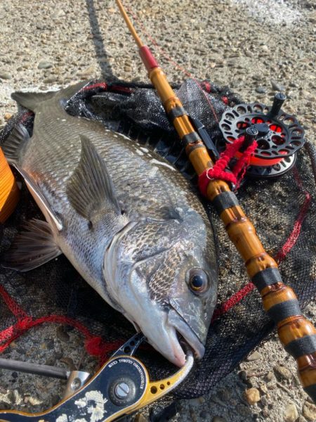 ヘチってきました