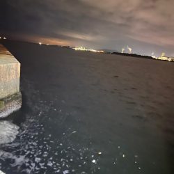 極寒爆風の中の1匹