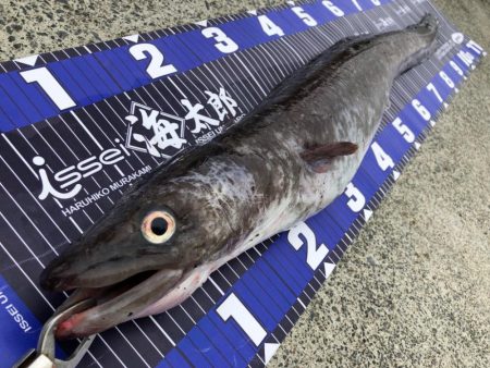 😱アナコンダὣ…