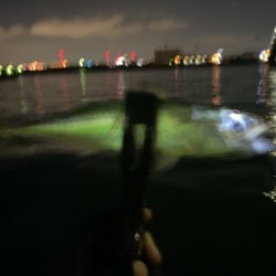 坊主メーター溜まりました