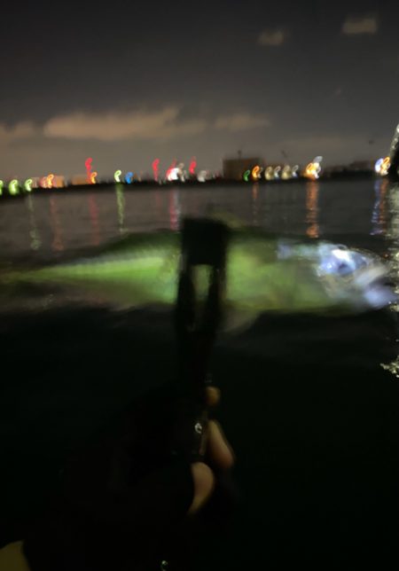 坊主メーター溜まりました