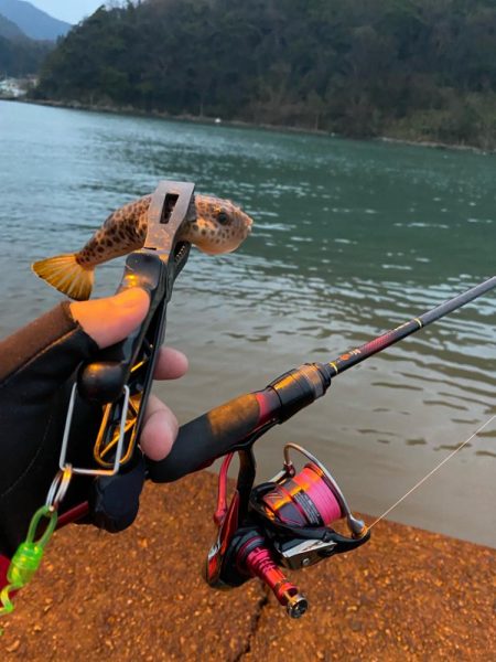 2024釣り初めライトゲーム