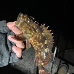 原点にして頂点