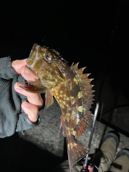 原点にして頂点