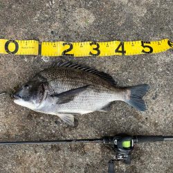 アーバンクローラー無双の日