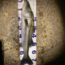 真冬のシーバスフィッシング