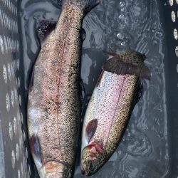 大会前のプラクティス