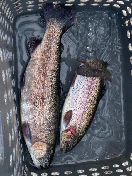 大会前のプラクティス