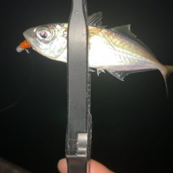 潮動いたら入れ食い!