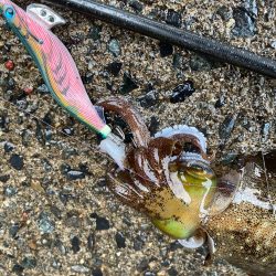 そろそろ終わりかな？