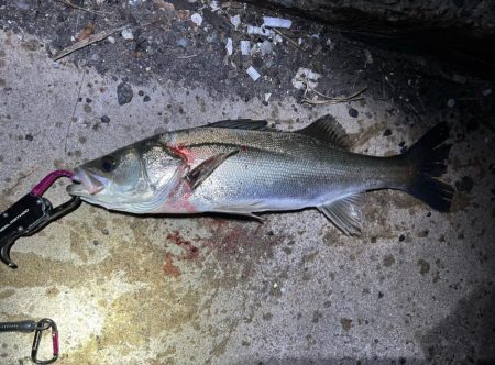 風が強くなる前に