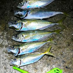 爆風小雨アジング