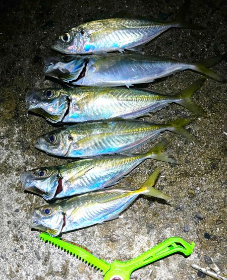 爆風小雨アジング