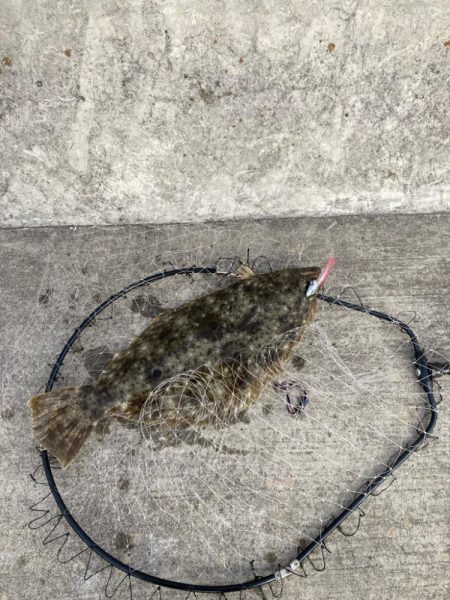 今年の第一号が釣れました。