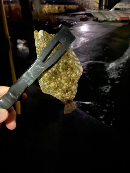 深夜ライトゲーム