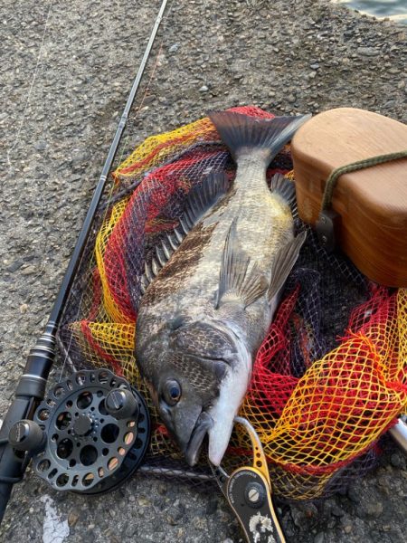 ヘチってきました