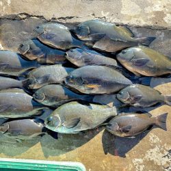 2024年初釣り釣行