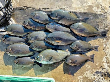 2024年初釣り釣行