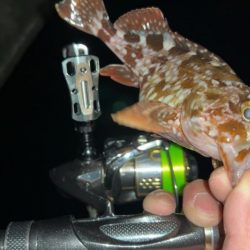 クリアブルーのテスターさんと釣行と…