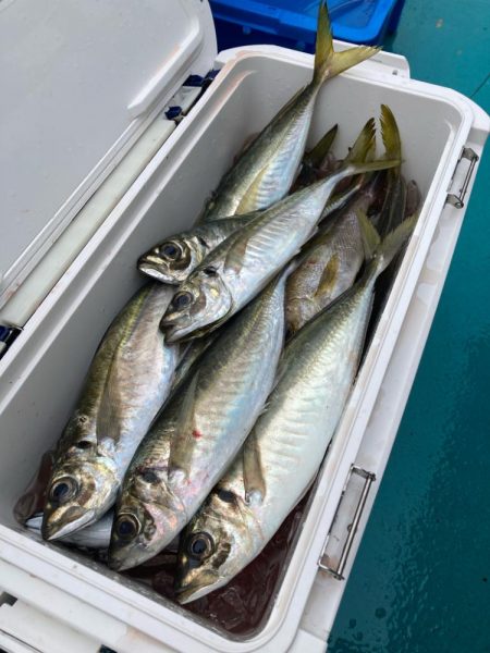 オキアミ五目釣り