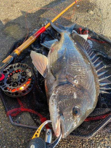 ヘチってきました