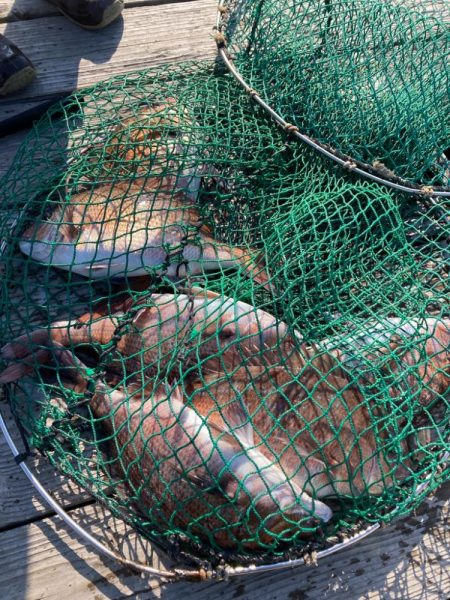 釣堀海恵さん☆