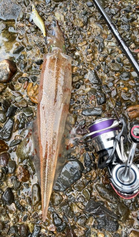 ヤリ〜やり〜！