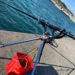 あけおめヤエン