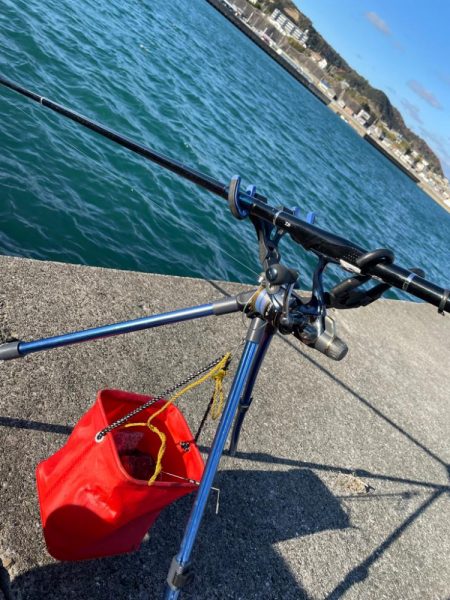 あけおめヤエン