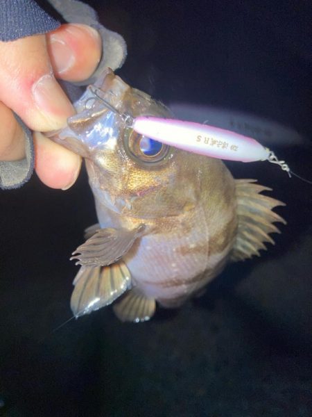 2024ライトゲーム第1戦