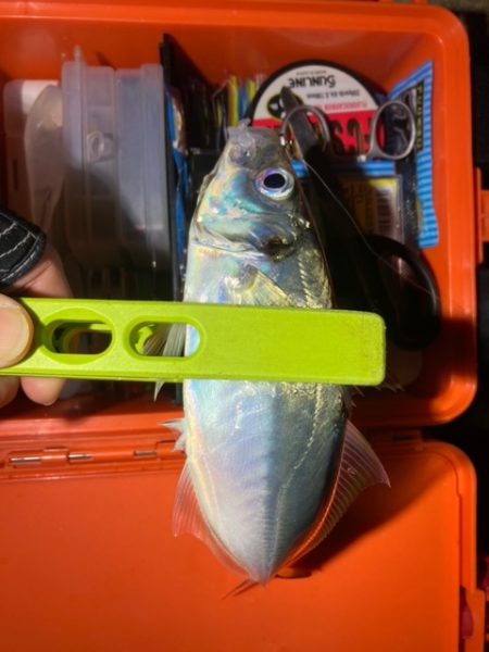 フロートアジング