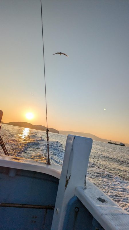 色んな魚種（サウス）